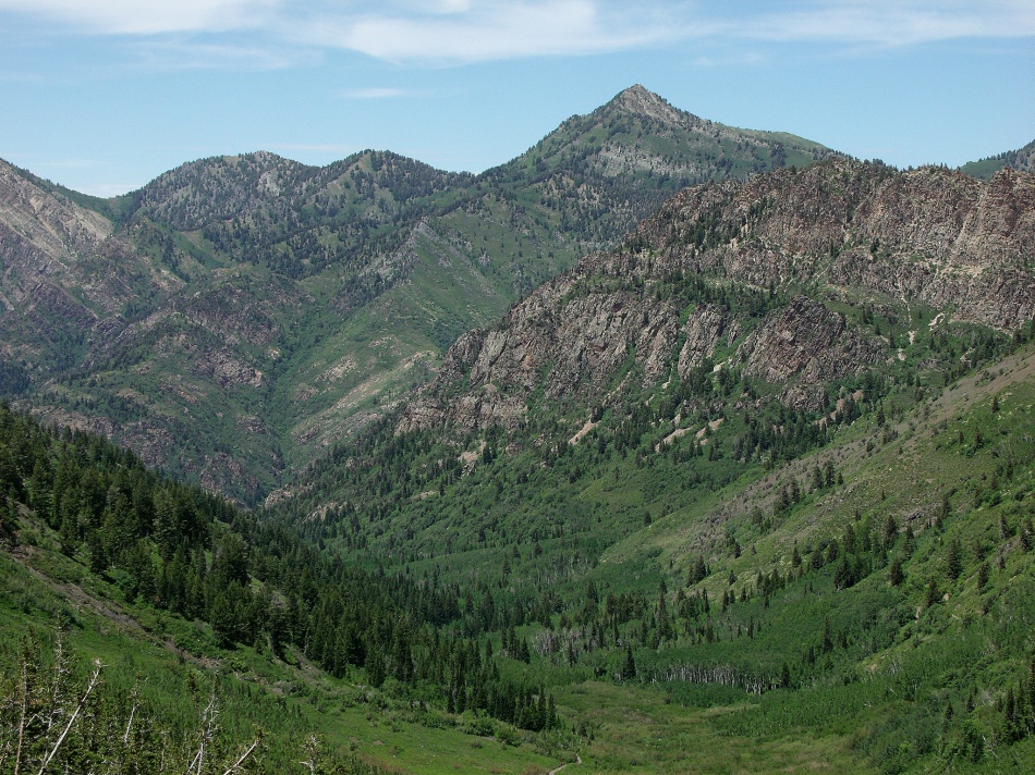 Mineral Fork mountain vista
