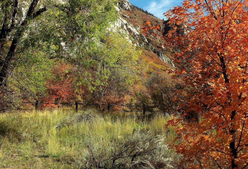 Fall in the Wasatch Mountains