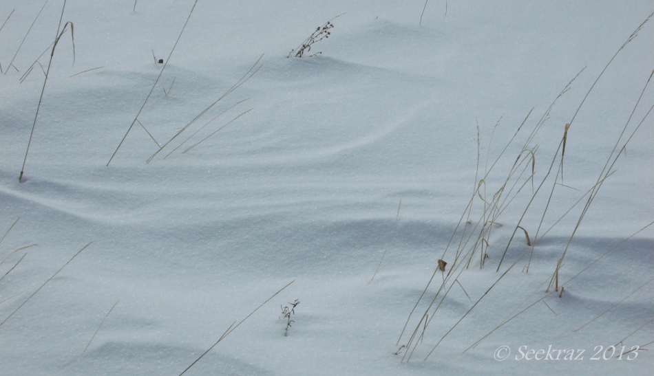 delicate snow drift