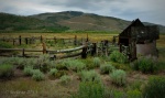 Horse barn and corral in Scofield, Utah.