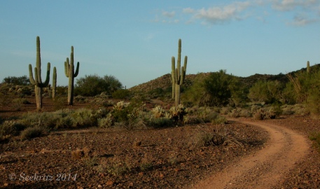 Desert double track