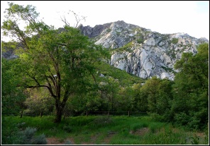 Evening in the Wasatch, in Little Cottonwood Canyon