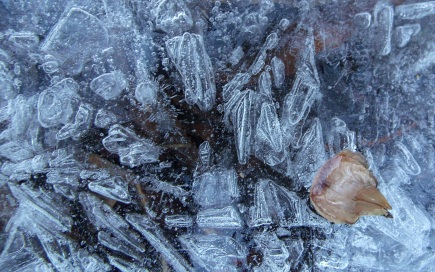 Surface ice formations in Little Cottonwood Canyon stream