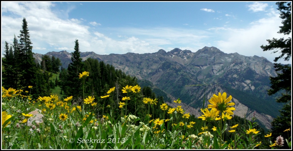 Broads Fork Twin Peaks over Desolation Trail wildflowers